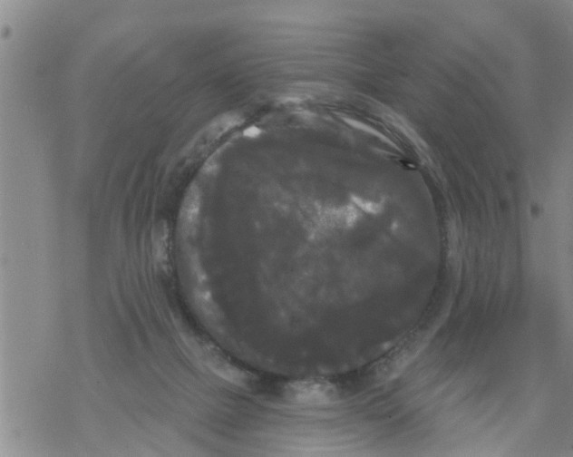 X0000068770073200605262216