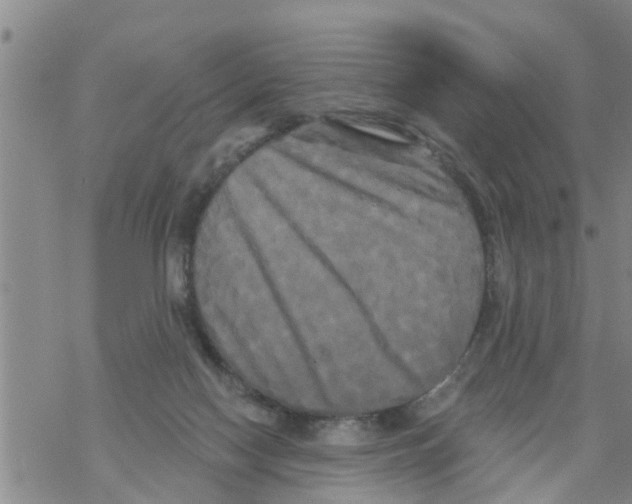 X0000068770074200605262216