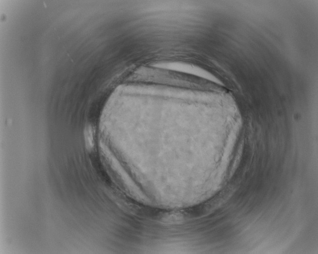 X0000068770075200605262216