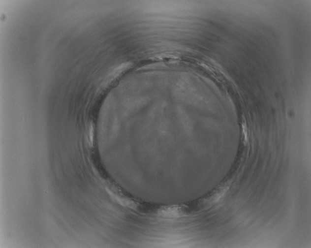 X0000068770076200605262216