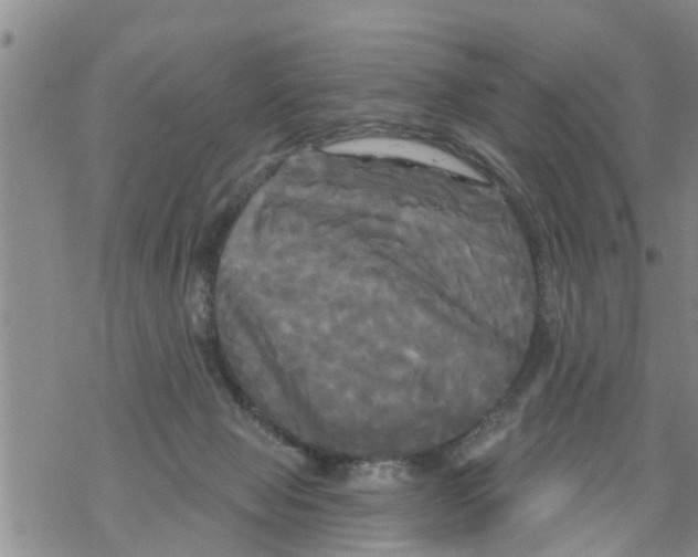 X0000068770077200605262216