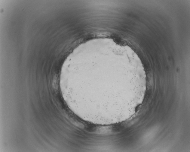 X0000068770078200605262216