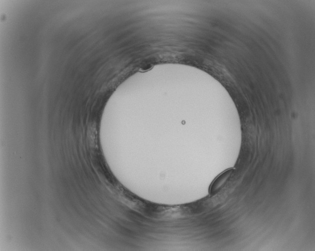 X0000068770083200605262217