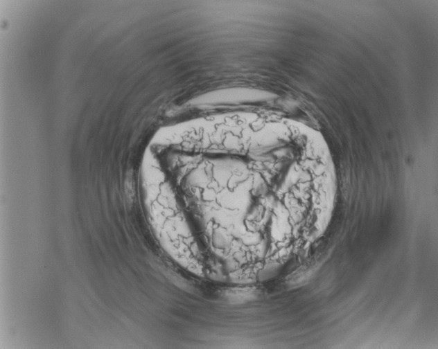 X0000068770085200605262217