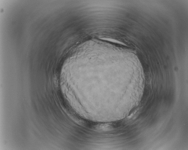 X0000068770086200605262217