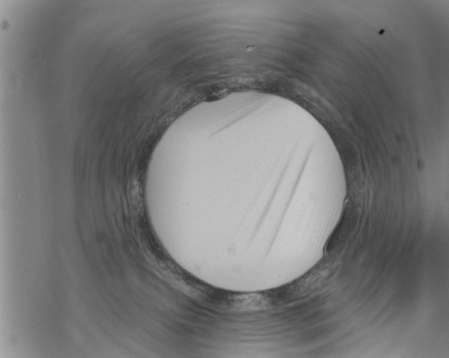 X0000068770087200605262217