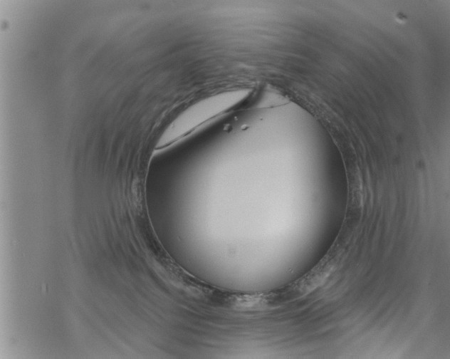 X0000068770088200605262217