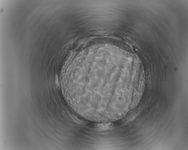 X0000068770089200605262217