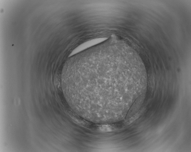 X0000068770091200605262217