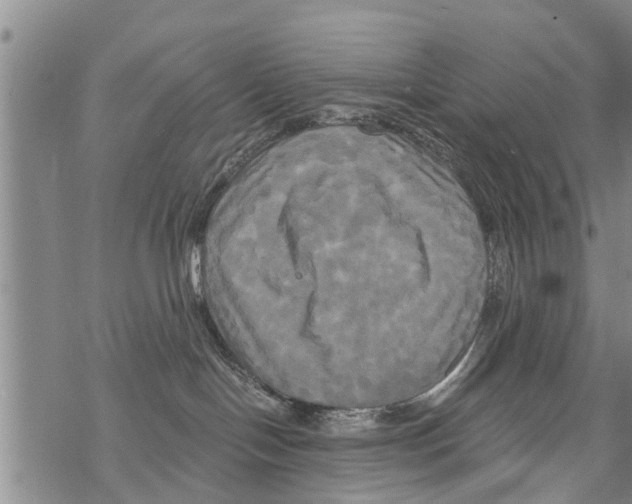 X0000068770094200605262217