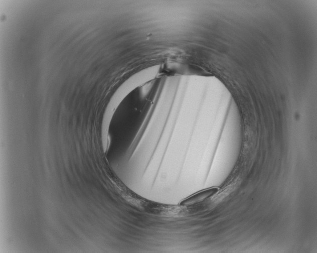 X0000068770096200605262217