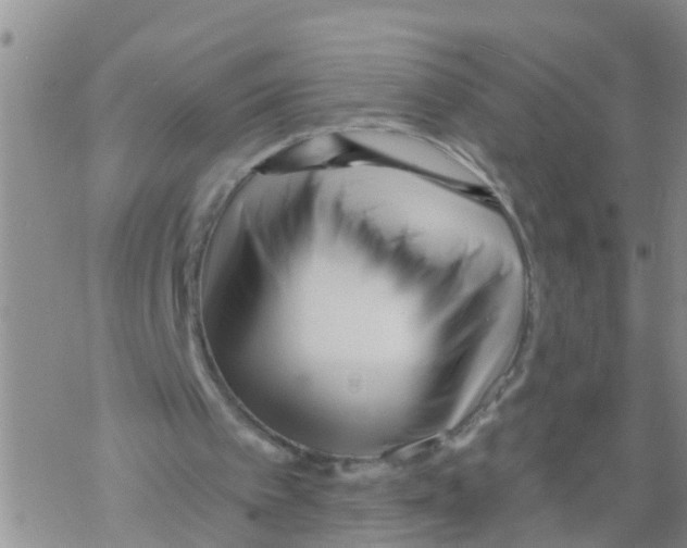 X0000068770097200605262216