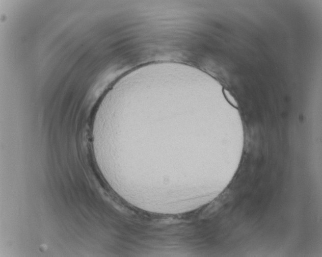 X0000068770098200605262216