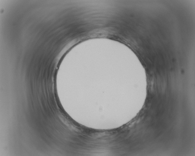 X0000068770100200605262216