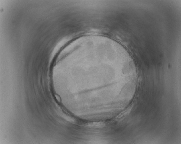 X0000068770102200605262216