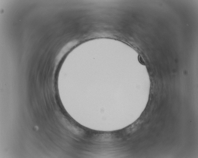 X0000068770104200605262216