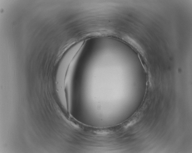 X0000068770105200605262216