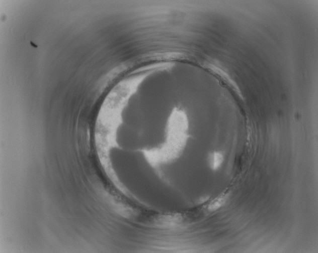 X0000068770110200605262216