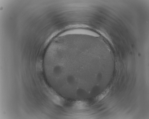 X0000068770111200605262216