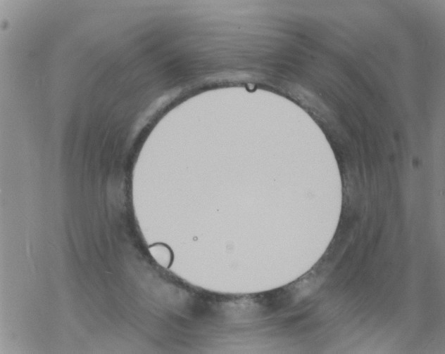 X0000068770112200605262216