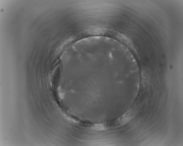 X0000068770114200605262216