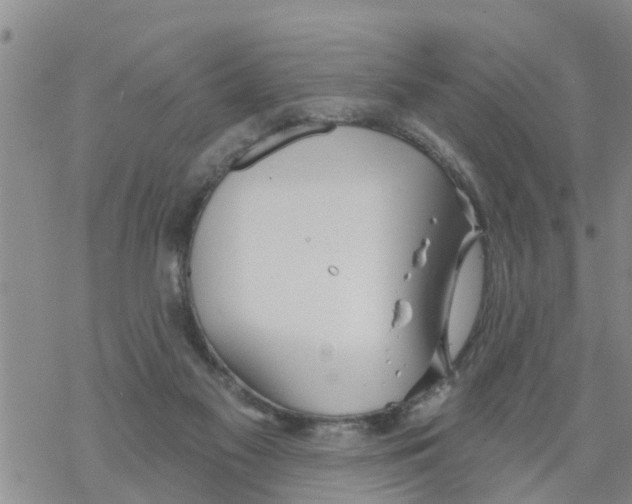 X0000068770117200605262216