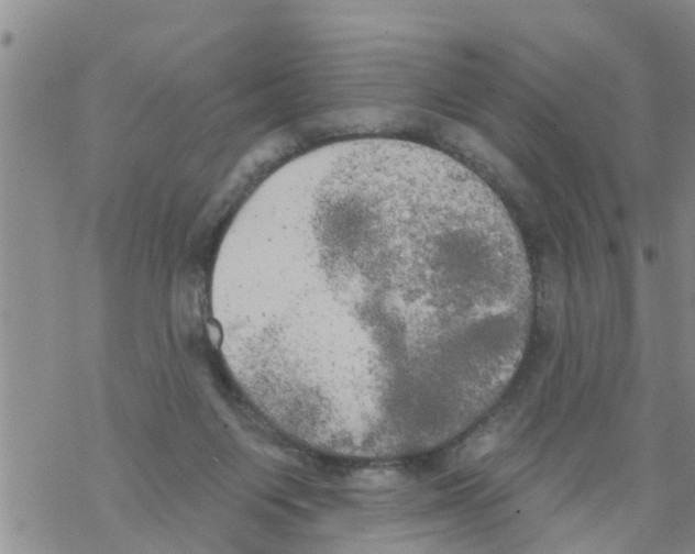 X0000068770119200605262216