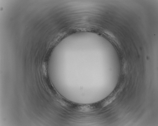 X0000068770121200605262216