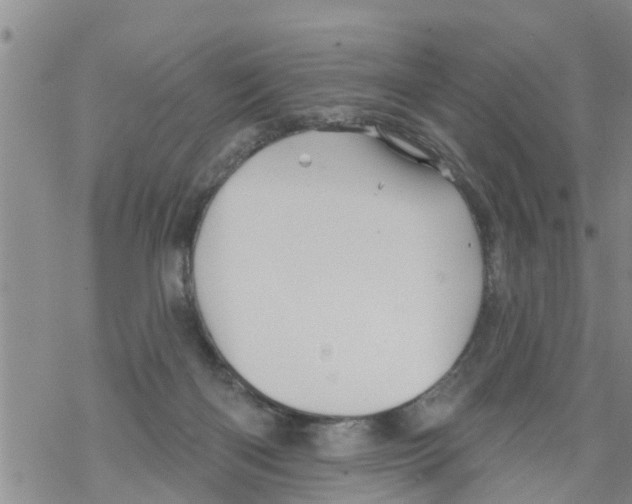 X0000068770122200605262216