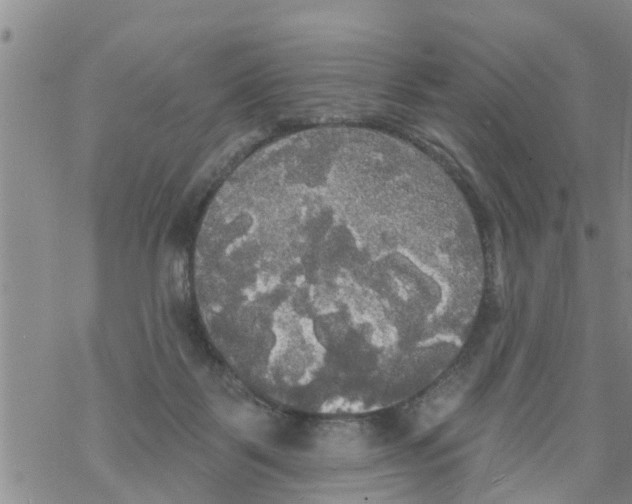 X0000068770123200605262216