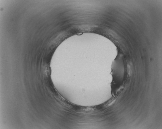 X0000068770125200605262216