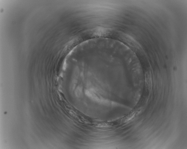 X0000068770127200605262216