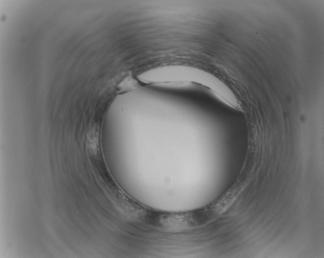 X0000068770129200605262215