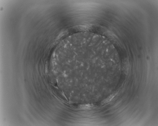 X0000068770131200605262215