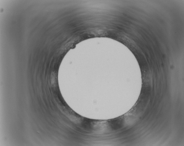 X0000068770132200605262215