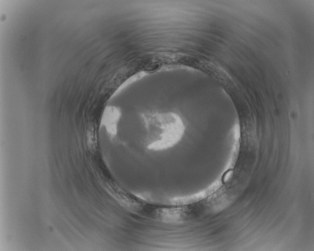 X0000068770134200605262215