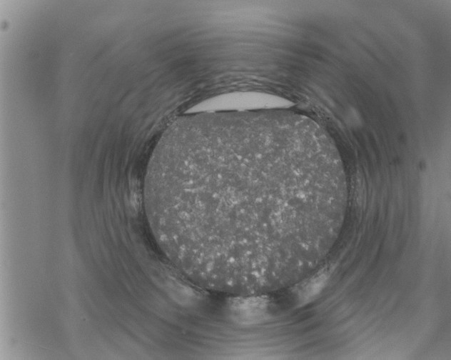 X0000068770135200605262215