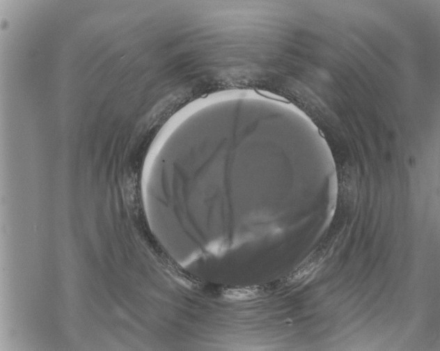 X0000068770139200605262215