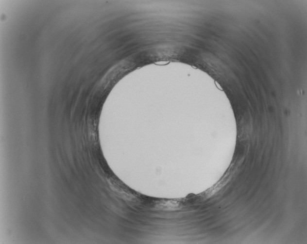 X0000068770140200605262215