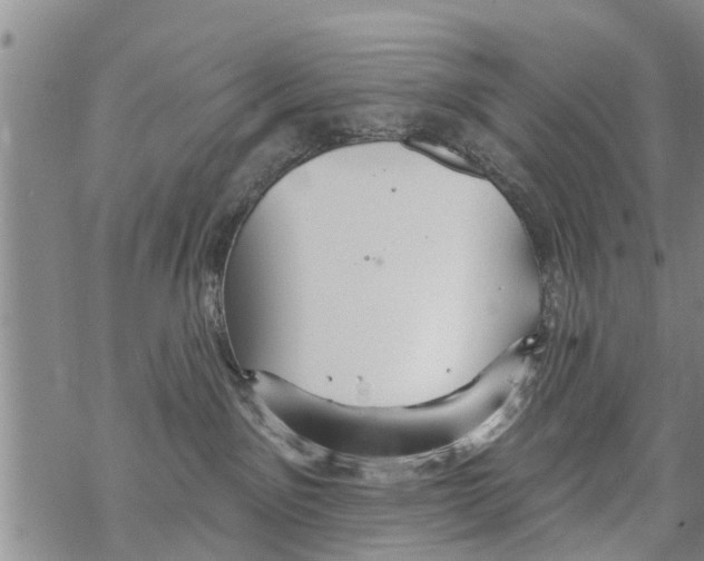 X0000068770141200605262215