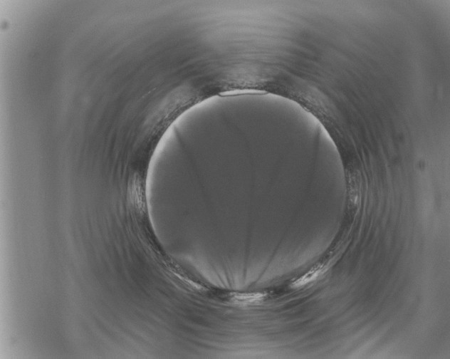 X0000068770143200605262215