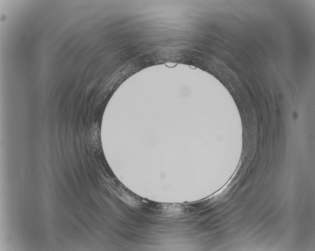 X0000068770144200605262215