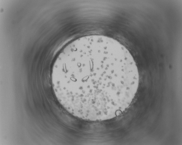 X0000068770146200605262214