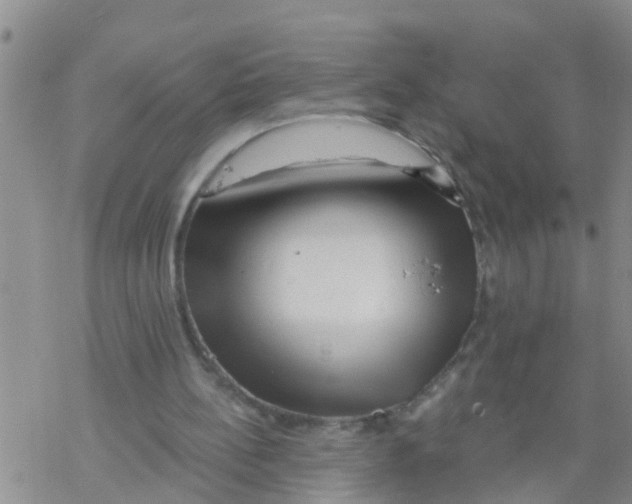 X0000068770148200605262215