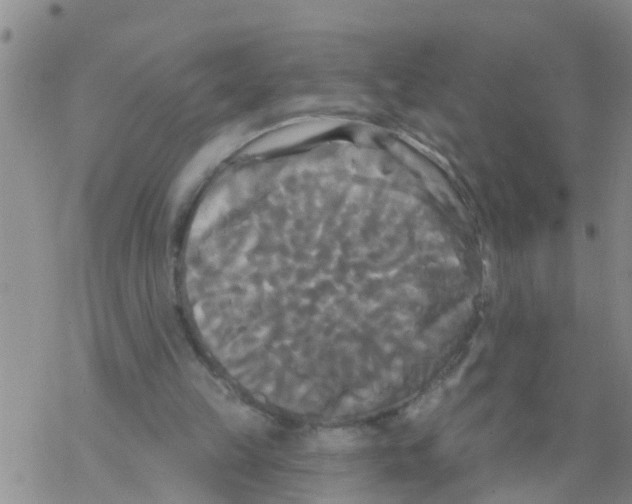 X0000068770149200605262215