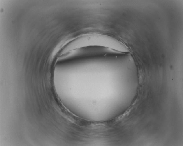 X0000068770150200605262215