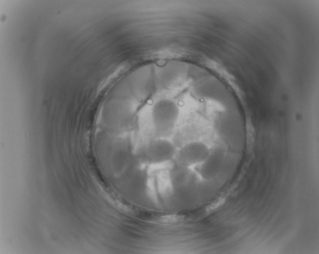 X0000068770153200605262215