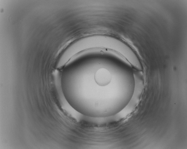 X0000068770154200605262215