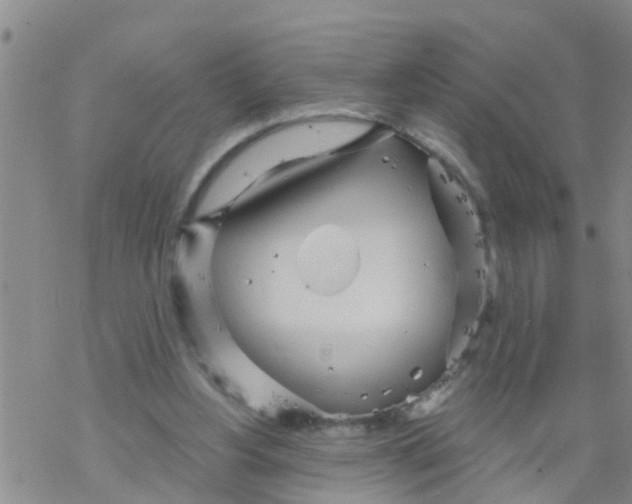 X0000068770156200605262215