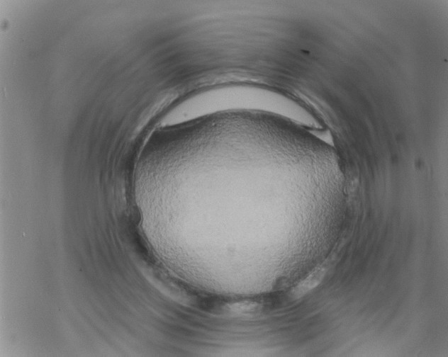 X0000068770158200605262215